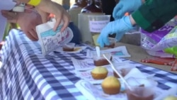 西维吉尼亚路杀动物节