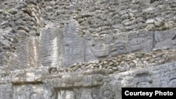 Monumen batu seperti yang ada di Caracol, Belize, mendokumentasikan pertarungan, kelahiran dan kematian pada suku Maya. (Douglas Kennett, Penn State)