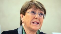 联合国人权事务高级专员巴切莱特