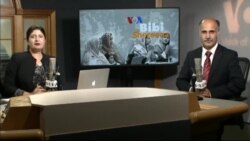 بي بي شیرینه – وي او اې ډيوه په ټیلې ویژن