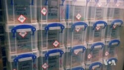 Turning Deadly Insect Venom Into Drugs