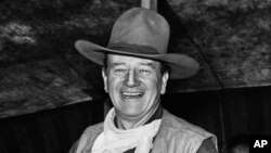 The Sons of Katie Elder