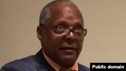 ፎቶ ፋይል፦ ፕሮፌሰር መረራ ጉዲና 