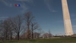 Warung VOA: Menyambut Sakura di Amerika (1)