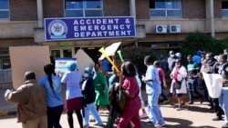 Udaba Esilethulelwe NguMavis Gama