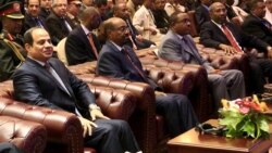 የኢትዮጵያ፣ የግብፅና የሱዳን መሪዎች በሦስትዮሽ ጉዳዮች ላይ ተወያዩ