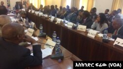 ኢሕአዴግና ሃያ አንድ ሀገር አቀፍ ተቃዋሚ ፓርቲዎች ቅድመ ድርድር 