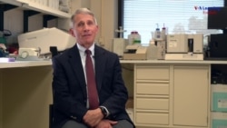 Dr. Anthony S. Fauci, M.D.