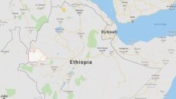 በምሥራቅ ወለጋ ሰዎች እየታሰሩ ነው