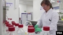 Dakin binciken kwakwa