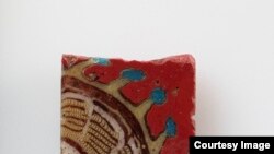 American Museum First to Digitize Entire Collection
