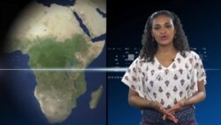 Oduu Afrikaa Daqiiqaa Tokkoo