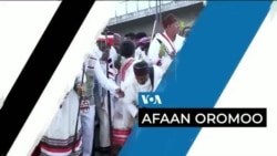 Tamsaasa Guyaadhaa Guyyaa