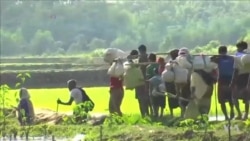 የሮሒንግያ ሙስሊሞች