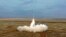 Arhiva - Na fotografiji koju je objavilo rusko Ministarstvo odbrane 19. februara 2022, vidi se ispaljivanje rakete "Iskaner-K" tokom vojne vežbe u Rusiji.