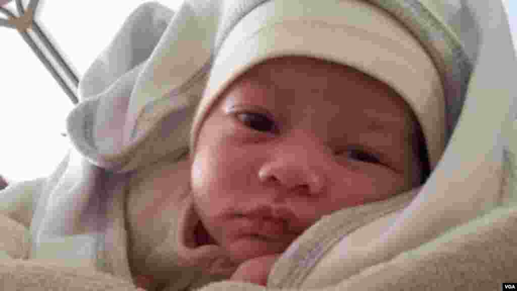 Araz Axundov, N!DA İdarə Heyətinin üzvü Rəşadət Axundovun oğlu