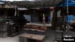 시리아 반군이 점령한 알레포 시에서 25일 한 여성이 텅빈 야채가게 주변을 걷고 있다.