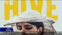 Filmi "Zgjoi" nga Kosova - fitues i tre çmimeve