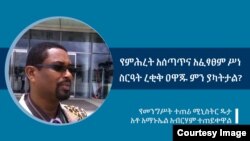 የመንግሥት ተጠሪ ሚኒስትር ዴታ አቶ አማኑኤል አብርሃም 