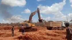 Ijaarsii yuniverstii Booranaa Akkuma Aadoyyee Durattiin Jiranii Bara 2020 Keessa Ijoollee Galmeessuu Hin Oolan Jedhanii Eegatn