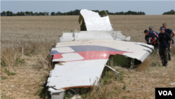 MH17失事现场。