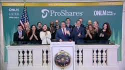 VOA连线(方冰)： 感恩节购物季将创消费记录，担忧贸易谈判前景股市下挫