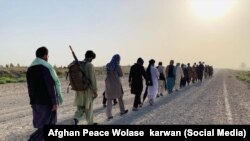 د سولي ولسي حرکت د جګړې له ټولو غاړو غواړي چې جنګ بند او سوله وکړي