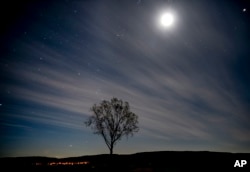 FILE - Moon and stars shine over a tree in the outskirts of Frankfurt, Germany, early Tuesday, Sept. 8, 2020. (AP Photo/Michael Probst)