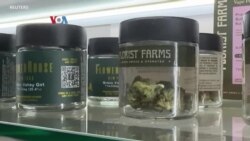  Legalisasi Mariyuana Sambil Melindungi Dampak Buruk kepada Anak 
 