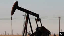 资料照片：2022年3月30日，美国新墨西哥州塔图姆看到的抽油机。（美联社照片）