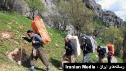 کولبران کرد. آرشیو