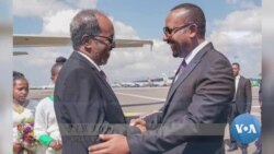 የሶማሊያው ፕሬዚዳንት የኢትዮጵያ ጉብኝት