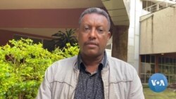 በደቡብ አፍሪካ የሰላም ንግግር ዙሪያ የተሰጡ አስተያየቶች