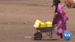 Dhibeen Busaa Naannoo Oromiyaa Keessatti Babal’achuu fi Lubbuu Galaafachuun Himame