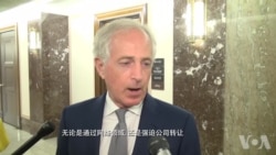 美参院领袖：制止中国窃取知识产权为目标