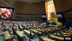 سازمان ملل متحد