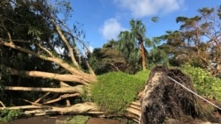 ​Bonbolattiin Ermaa Jedhaniin Yunaytid Isteets Godina Flooridaa Rukkutte