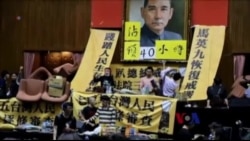 纽约异议人士：“服贸”的实质是统合台湾