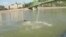 Budapest Touts Swimming in Fast-Flowing Danube River