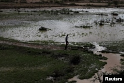 Faayilii:El Nino barana Afrikaa bokkaa guddaan dhufe.Kun ollaa Botor, Somaliland Ebla 16, 2016.