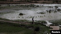 ኤል ኒኞ በአፍሪካ ቀንድ ያስከተለው ድርቅና ጎርፍ /ፎቶ ሮይተርስ/