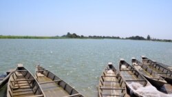 FILE - Pirogues on the Logone river in Blaram, northern Cameroon, March 1, 2013.
