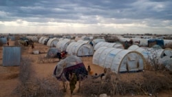 Jalqabamuu Sagantaa Qubsiisa Baqattootaa Yuunaytid Isteetis Dhaabatee turee fi Baqattoota