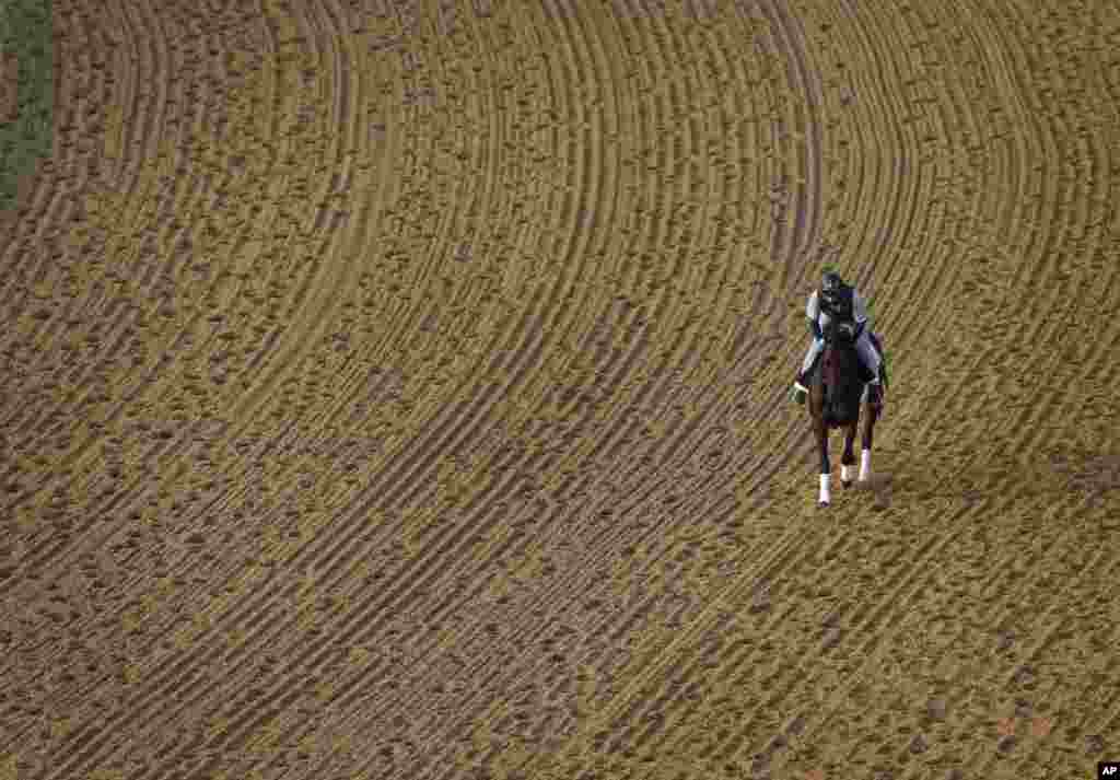 Kuda pacu Itsmyluckyday, dengan joki Peter Shelton, melakukan latihan di Pimlico Race Course di Baltimore, AS. 