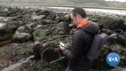 Study: Storm Waves Capable of Moving Car-Sized Boulders Threaten Coastal Communities