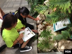 Junior Botanists at work at the U.S. Botanic Garden in Washington, Aug. 15, 2014. (Photo: J. Taboh / VOA)