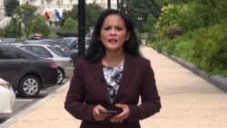 Peran WNA Dalam Pilpres 2014