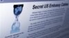 The Internet homepage of Wikileaks is shown in this photo taken in New York, Wednesday, Dec. 1, 2010. WikiLeaks' release of secret government communications should serve as a warning to the nation's biggest businesses: You're next. (AP Photo/Richard Drew