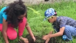 የአረንጓዴ አሻራ የችግኝ መርሃ ግብር - ሀዋሳ