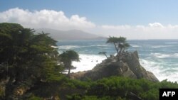 Lənkəran və Kaliforniyanın Monterey şəhəri qardaşlaşdı